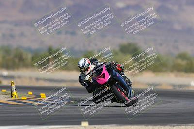 media/Nov-12-2023-SoCal Trackdays (Sun) [[5d1fba4e7d]]/Turn 14 (1035am)/